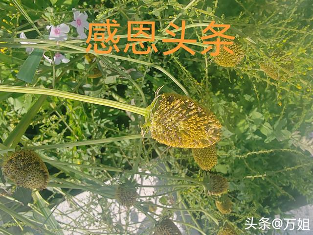两性交往，要想刺激女人的荷尔蒙，只需记住这6点，绝对让她动心