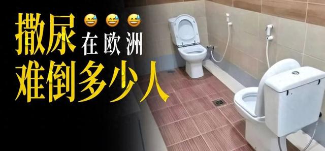 七亿人涌入欧洲，最大难题是尿尿？｜地球知识局