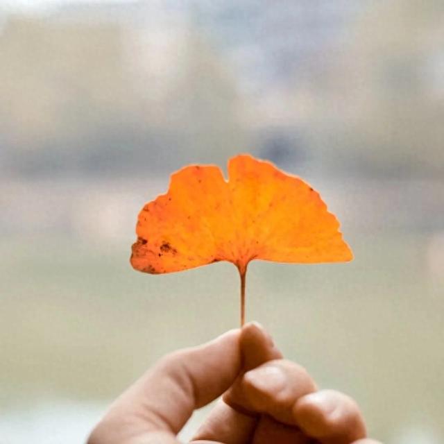 从街角到古村,一键解锁贵阳的秋日浪漫