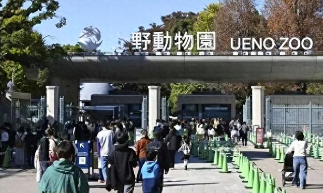 没有回旋余地，中国下令直接收回，17万日本人泪奔，高市闯祸了！