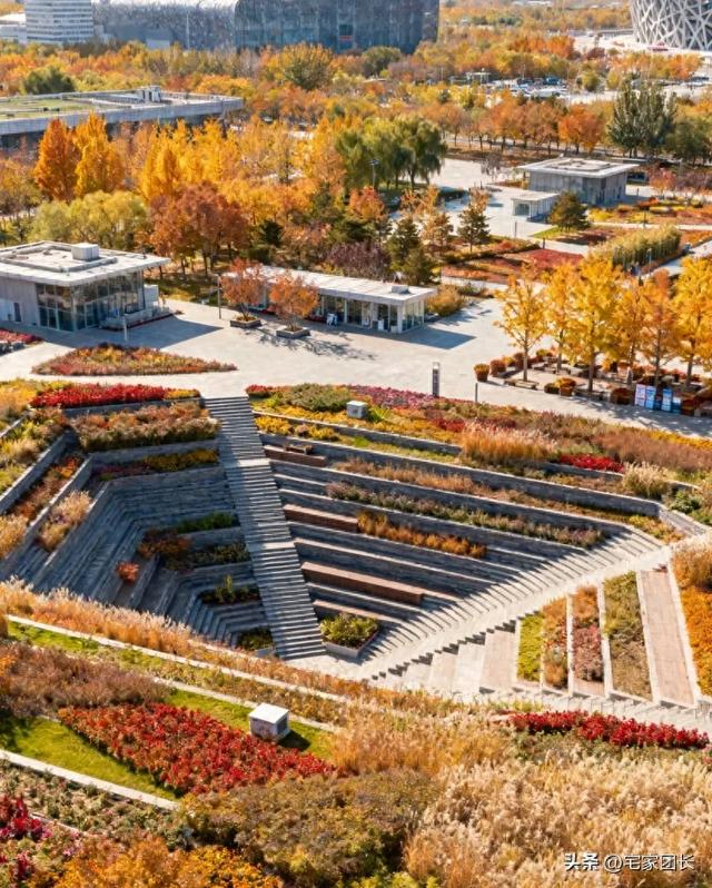 老舍先生说过：北平之秋是天堂，北京的秋藏着最动人的美