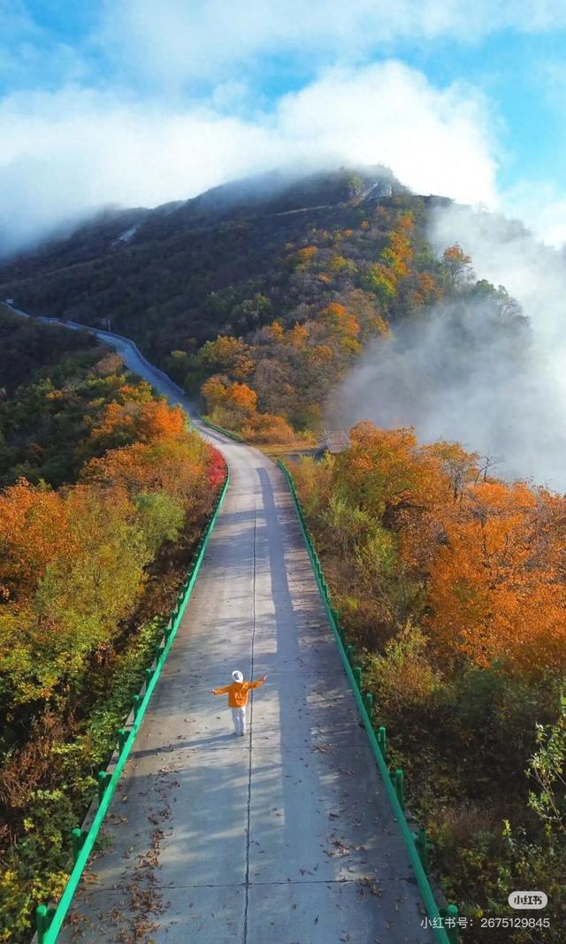 谁说秋日只有红？来龙头山，感受五彩鲜活的秋~