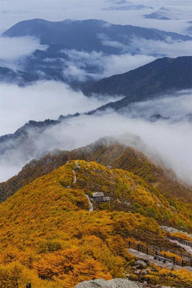 11月秋色天花板！秦岭精华秋色就锁死这7条省道，一个月都玩不完