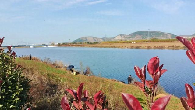 寻美薛城丨一眼沉醉！蟠龙河冬日美景，是一幅静谧迷人的水墨画卷！