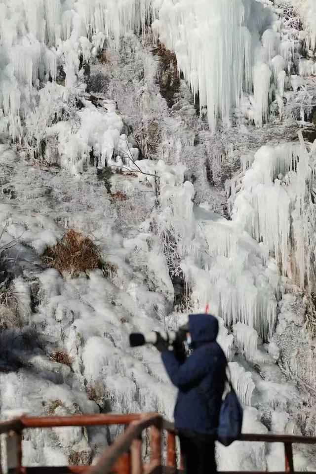日照这里出现奇观，绝美！