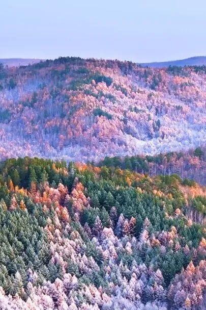 呼伦贝尔醉美初冬