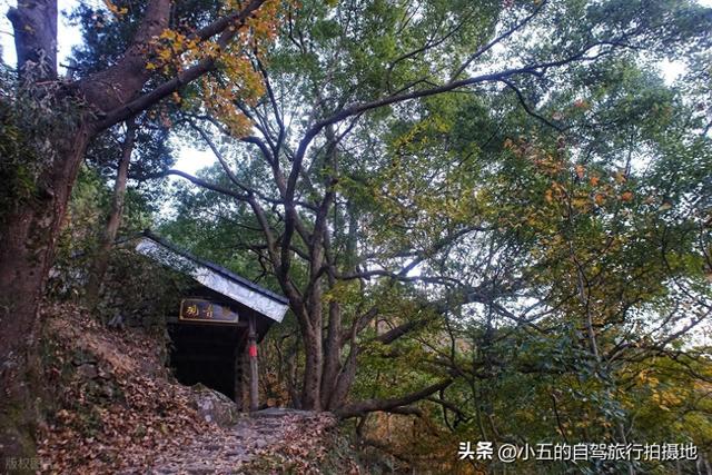 台州南黄古道徒步攻略：赏枫 3 环线 + 亲子友好