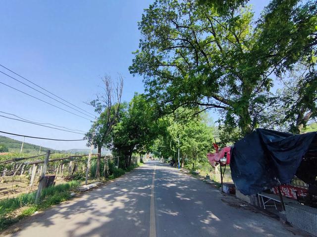 博山青龙山古建筑群，城寨结合，构思巧妙，不虚此行