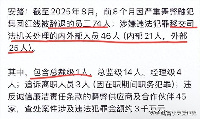 安踏严惩内鬼！74名员工被辞退，46人送进去，涉及3千万元