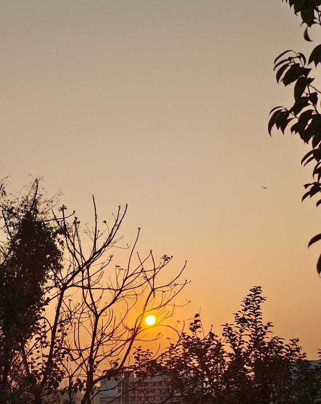 30年9个月工龄，个人账户8万	，50岁退休每月只领2360元