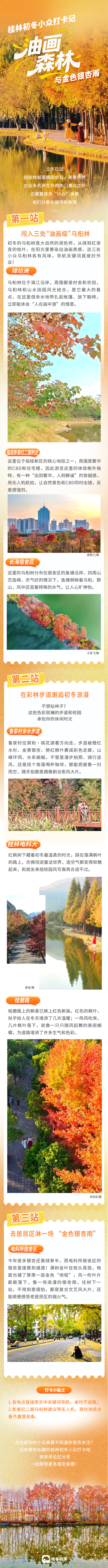 桂林冬季限定！你一定不能错过这些小众出片打卡地→