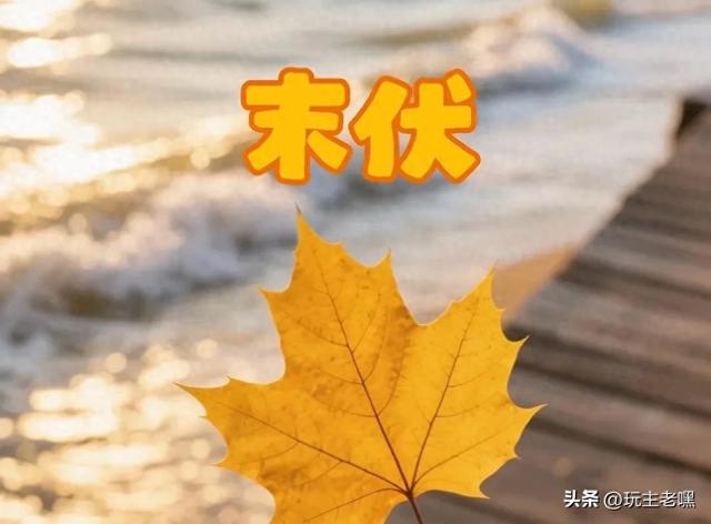 疆藏云贵行89，末伏