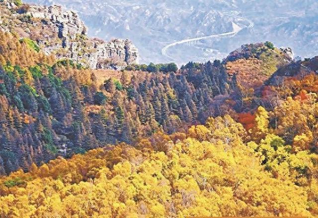 河北红叶邀你赴“油画之约”