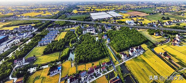 故乡美艳令人醉