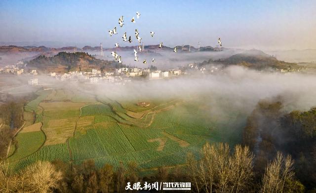 天眼影像｜黔西：冬日乡村景色美