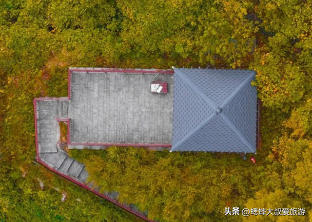 来杭州“千年秘境”公园吧，秋日有绝美场景，还可直接承包全场！