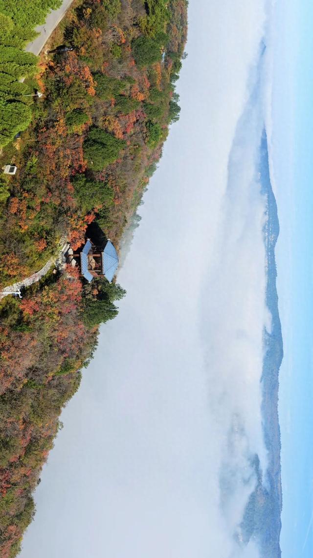 河南秋景大片，来了！（请横屏观看）