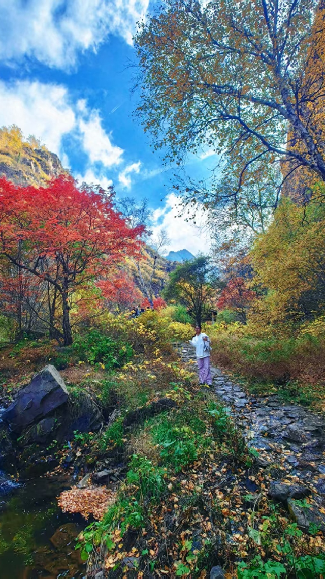 到土右，看山水~双节文旅盛宴圆满收官！