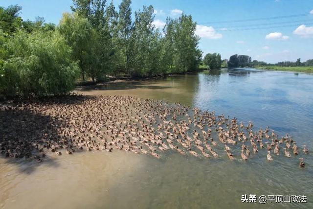 路线来了！平顶山这条全长86公里的网红路，你打卡了没？