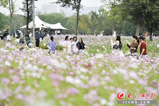 你知道吗？长沙有部公园“使用说明书”