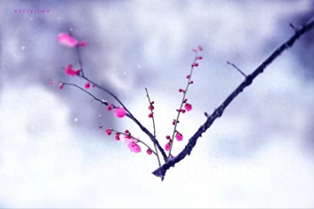 情感爆文:人这辈子，最不甘心的事情，其实就五个字	，你知道？