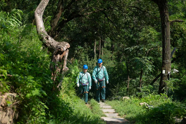 山东：“满格电”护航假期文旅热