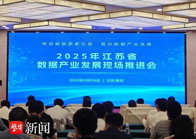 数据驱动AI创新，江苏省数据产业发展现场推进会在宁举办