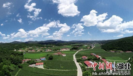 湖北兴山：夏日“村晚”点燃清凉经济