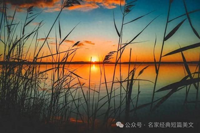 李娟：美景