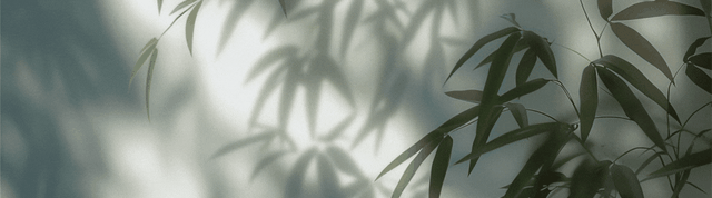 选好冲突地点？中国开辟第二战场	，高市白忙一场，日本布局被打乱