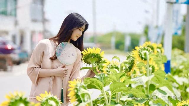 江夏法泗街刘家港水美乡村：在稻荷清香里，安放夏日慢时光