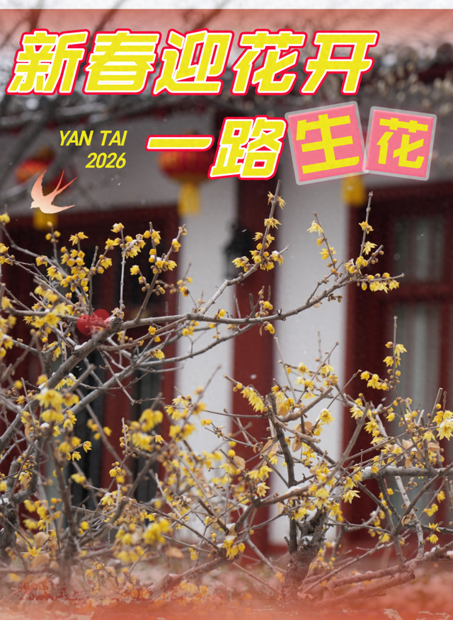 此刻！烟台花花花花花开了