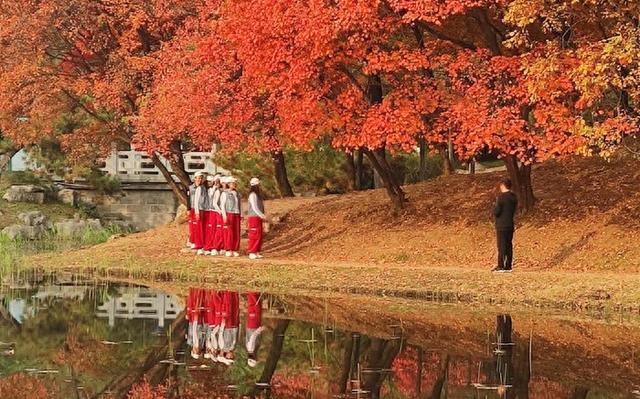 莱芜人·秋·景：诗韵与山水共醉