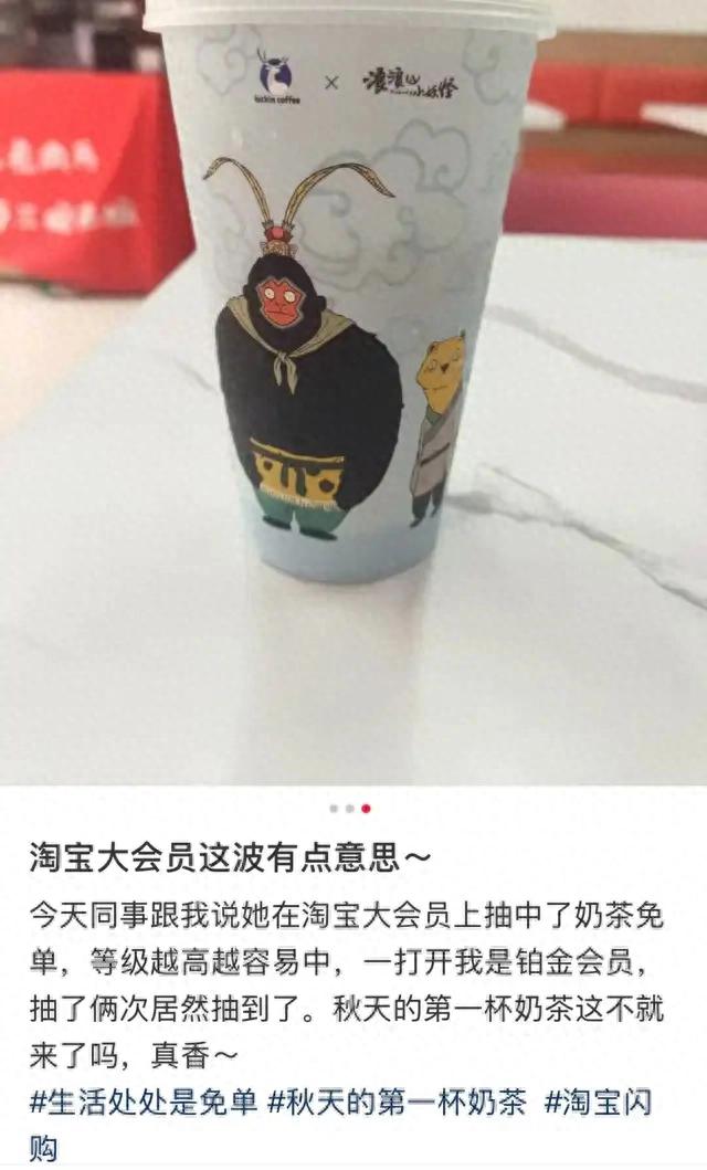 淘宝押注大会员，释放了什么信号？