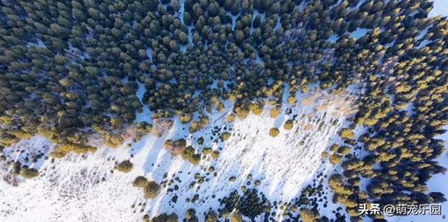 天山北坡遇奇景，零下雪景如仙境，我被这美景彻底震撼了
