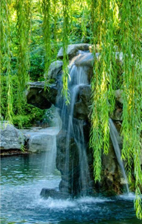 月牙泉“醒”了！济南泉水迎来最佳观赏期！