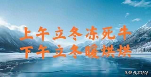 “上午立冬冻死牛，下午立冬暖烘烘”，今年立冬几点？有啥说法？