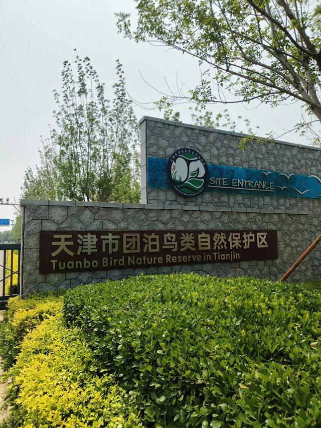 天津《团泊湖》