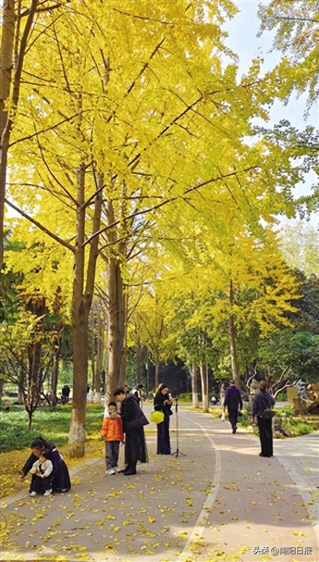 南阳金色之约，走起！