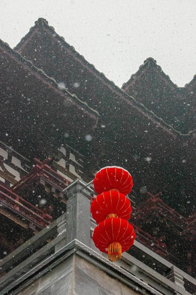 洛阳下雪后的绝美打卡地