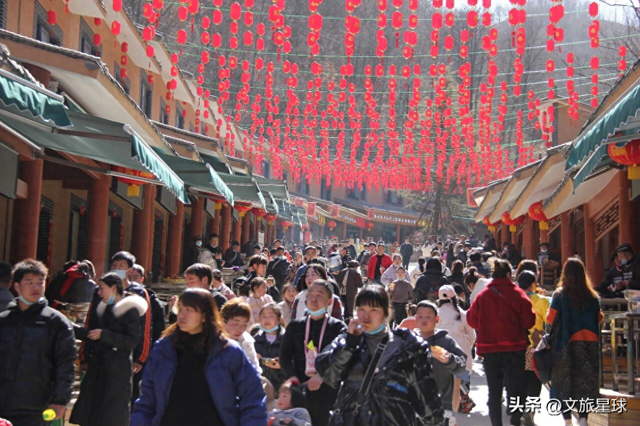 免费吃！免费看！半价玩！栾川竹海野生动物园推出春节巨献