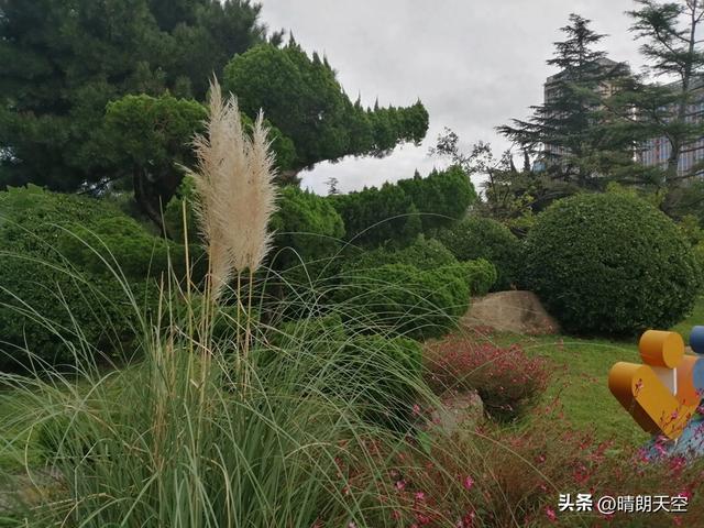 热评：也说假期旅游
