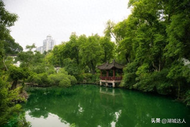 五十岁后发财的人，早就看透了这三张底牌
