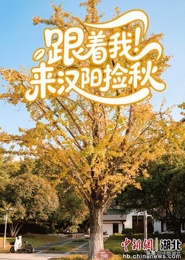 来汉阳解锁最有含金量的秋日玩法