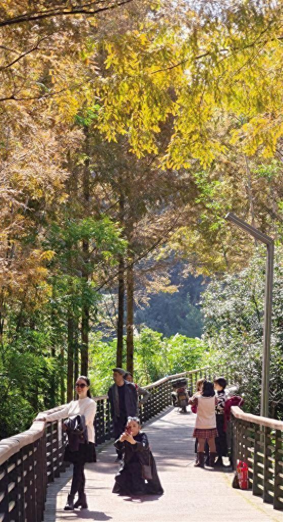 定格湘西“冬日秋韵”，拍照打卡正当时