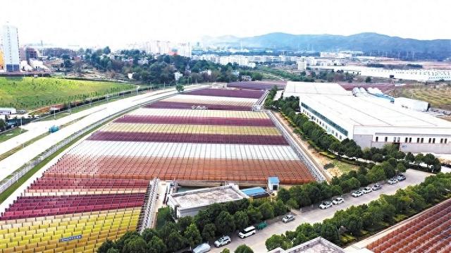 曲靖经开区：“工业+旅游”解锁“新风景”