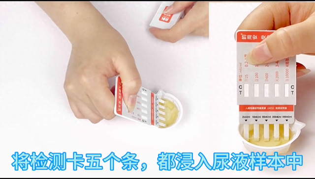 验孕棒怎么用的步骤视频教程（验孕棒使用方法）