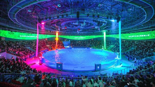 年味不停，宠妮来袭！郑州海昌非遗国潮续写精彩，三月宠妮浪漫接档