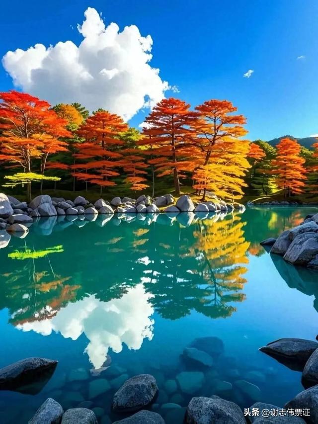 别春迎夏 气象万千