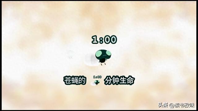 生死六十秒攻略（60秒生死局一只苍蝇的人生清单）
